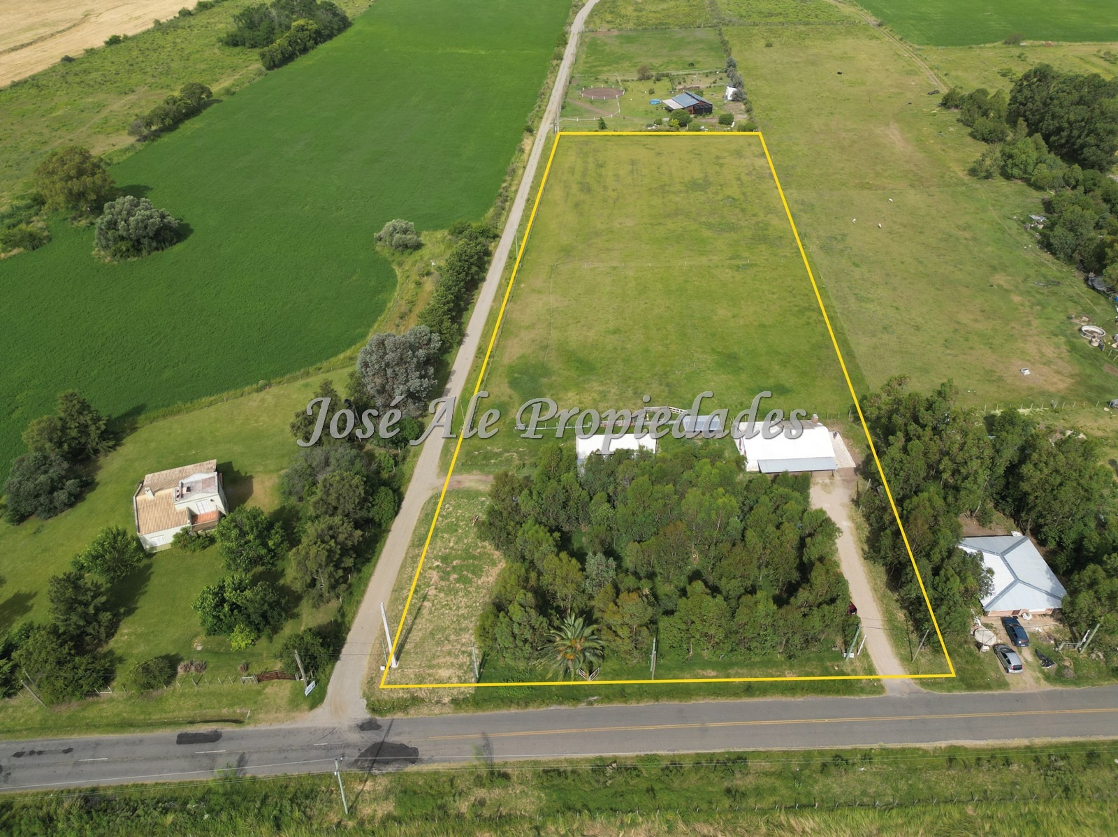 2631_WhatsApp Image 2026-01-19 at 14.11.49 (1).jpeg